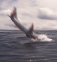 Расследования авиакатастроф 21 сезон 4 серия смотреть онлайн бесплатно